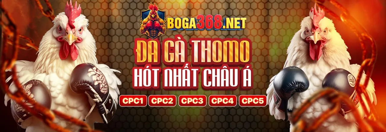 Đá gà trực tuyến VN999 - Sân đấu kịch tính