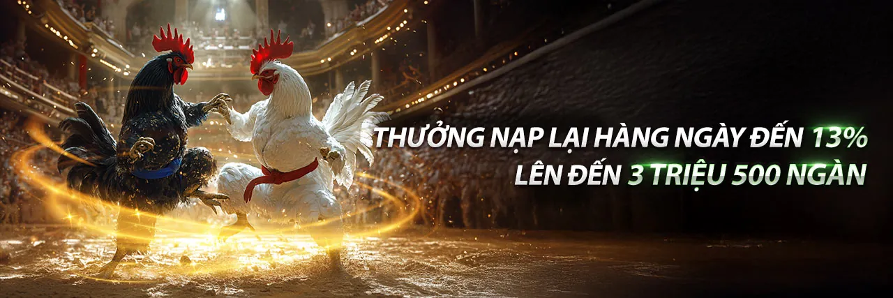 Chương trình Đối tác VN999 2026