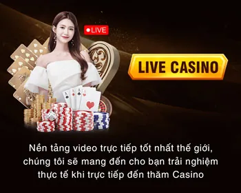 Biểu tượng cam kết chất lượng từ VN999