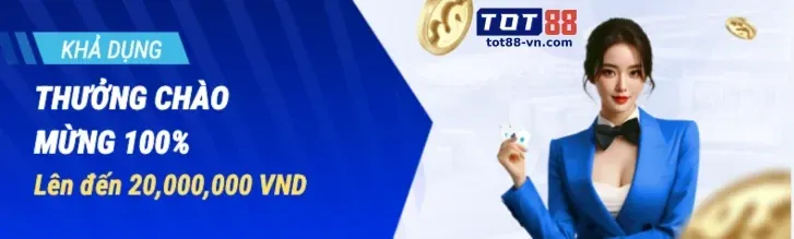 Biểu tượng hotline hỗ trợ VN999